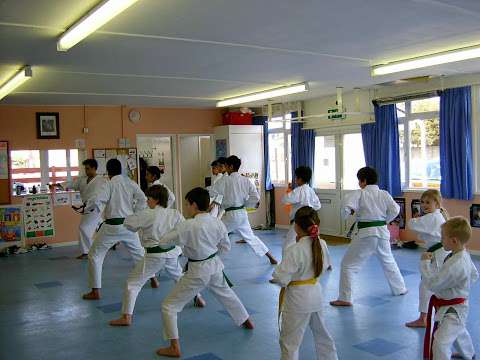 Shintai Karate photo